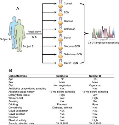 Modulation of gut microbiome in response to the combination of Escherichia coli Nissle 1917 and sugars: a pilot study using host-free system reflecting impact on interpersonal microbiome